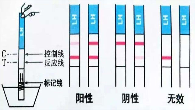 lhshizhi.jpg